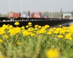 Foto: Hafen Halle GmbH